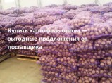 Картофель оптом / Марково