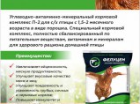 Фелуцен П2 для сельскохозяйственной птицы порошок, 1кг / Иваново